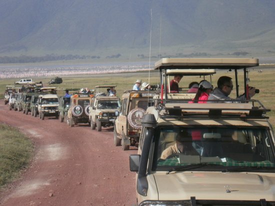Serengeti ve Ngorongoro: 2 Gece 3 Günlük Kamp Safari